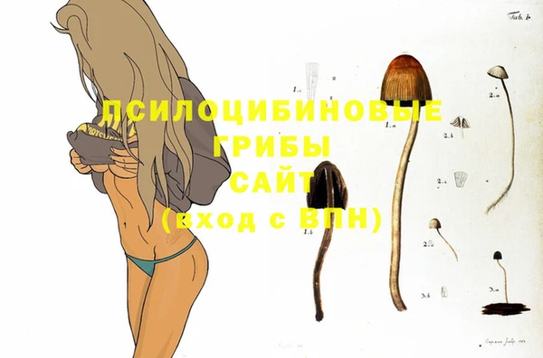синтетический гашиш Михайловск