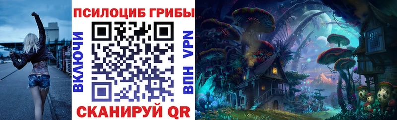 Галлюциногенные грибы Psilocybine cubensis Иваново