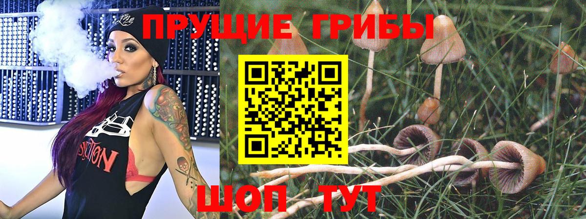 Галлюциногенные грибы Psilocybine cubensis  Иваново  Псилоцибиновые грибы мухоморы 