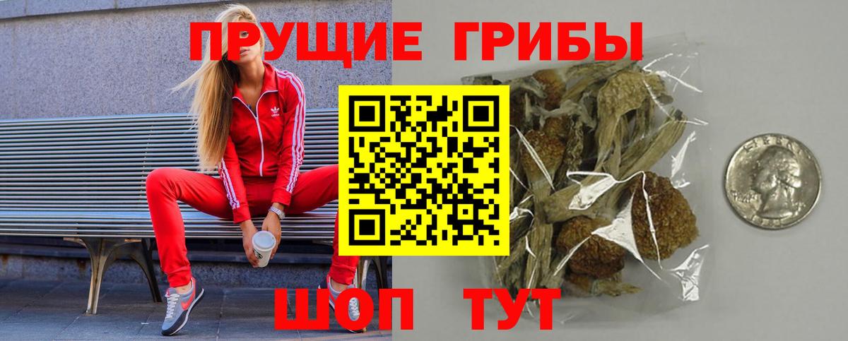 Псилоцибиновые грибы Psilocybe Иваново