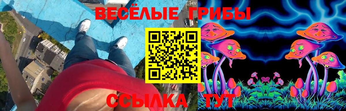 Галлюциногенные грибы Cubensis  Вход с VPN  Иваново 